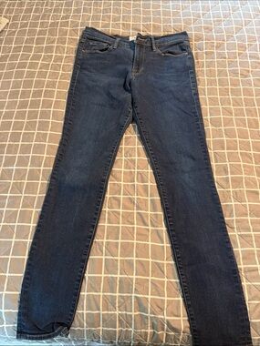 Frame Denim Le High Skinny, 31